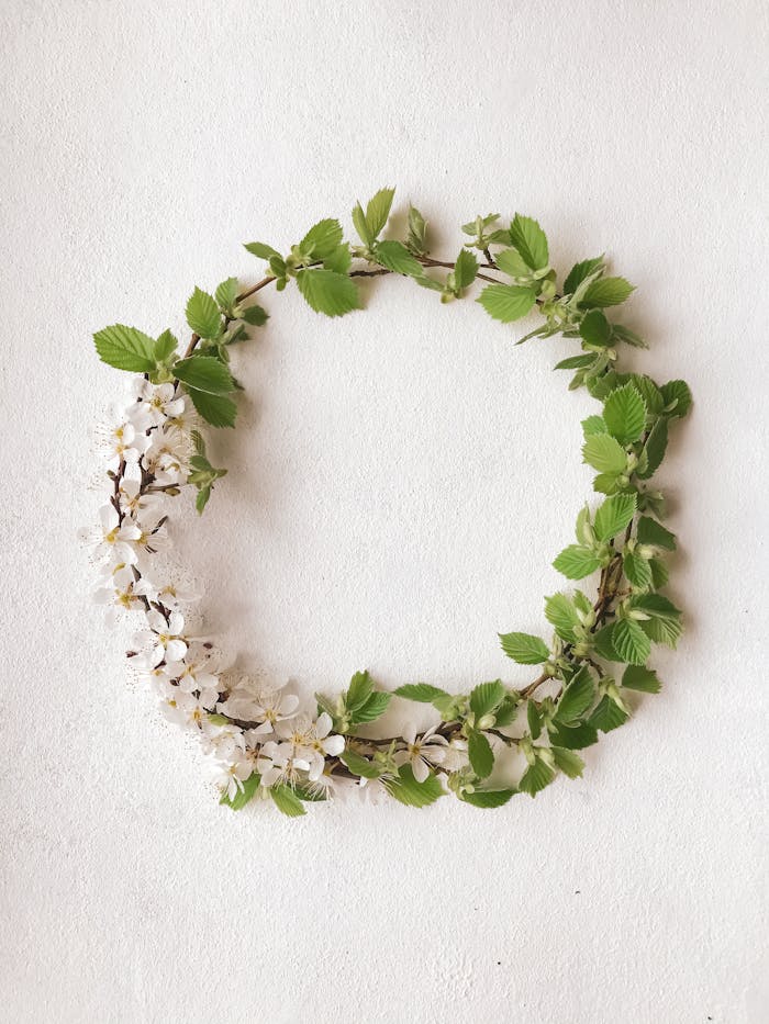 The Art of Drawing Readers In: Your attractive post title goes here A simple and elegant floral wreath made of white flowers and green leaves on a white background.