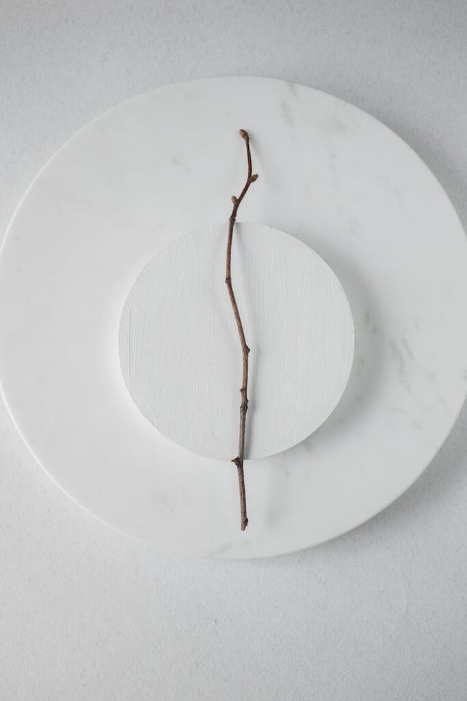 Simple minimalist image featuring a twig on a marble plate, top view.