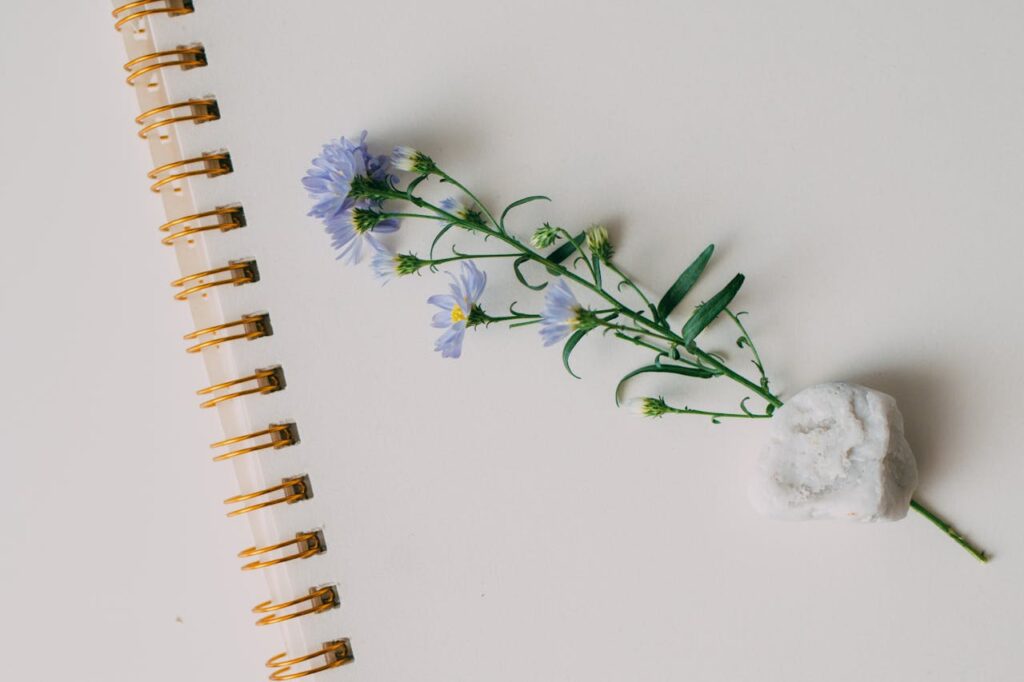 Delicate purple flower on a spiral notebook with a minimalist style.